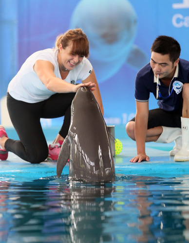 强度来限制 强度来限制